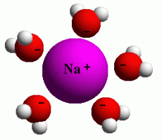 Salt and water molecule size