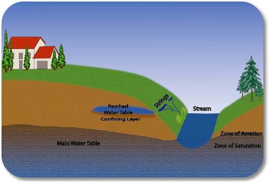Groundwater Dictionary, What Do You Mean By Perched Water Table